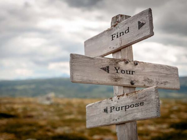 indentify_purpose